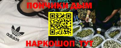 сатива Краснодар
