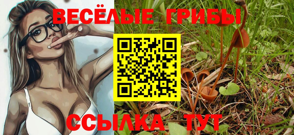 Ишим  Псилоцибиновые грибы мицелий  Вход с VPN  Галлюциногенные грибы прущие грибы 